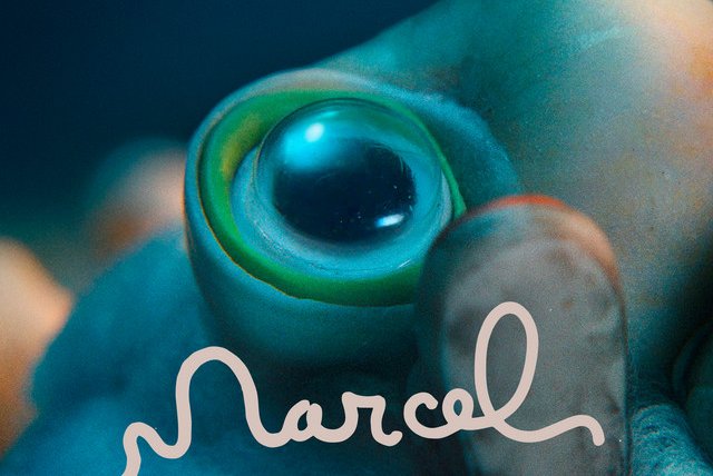 marcel